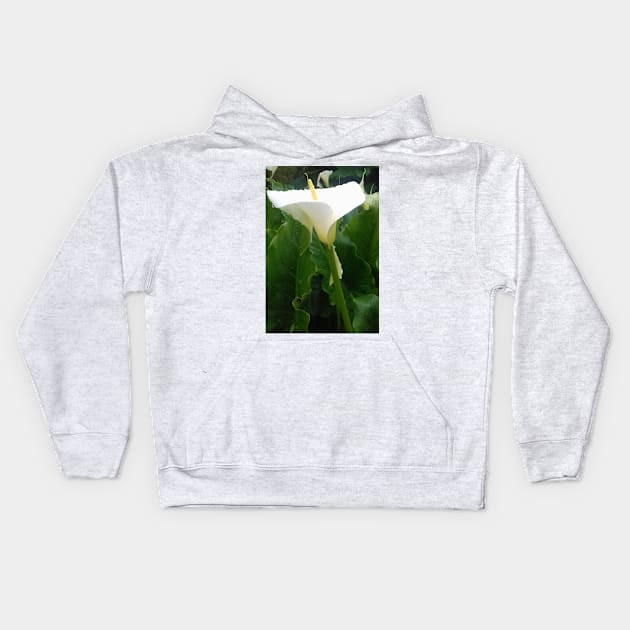 White Calla lily photo Kids Hoodie by esvb